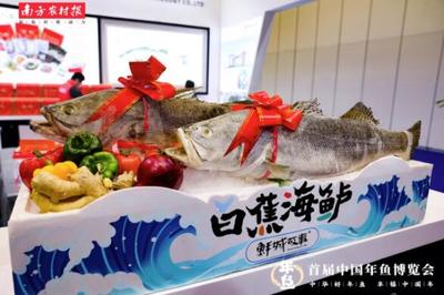 廣東新賽道:首屆中國年魚博覽會助力強農富農新局面