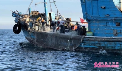 開海啦! 記者出海一線探訪郭老三頭船本地螃蟹上市