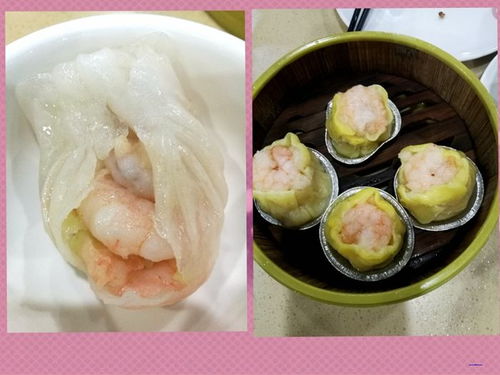 湛江自由行實(shí)用攻略 探索海濱風(fēng)光與水產(chǎn)批發(fā)寶地