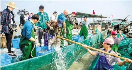 從生計(jì)漁業(yè)到生態(tài)漁業(yè) 記者探訪江浙多地見證太湖最后的傳統(tǒng)捕魚季與水產(chǎn)品批發(fā)變遷